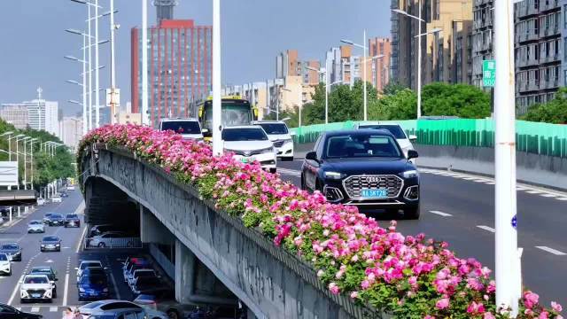 石家庄57公里绝美空中花海