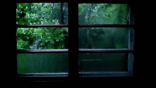 雨季心绪与治愈系空镜素材合集