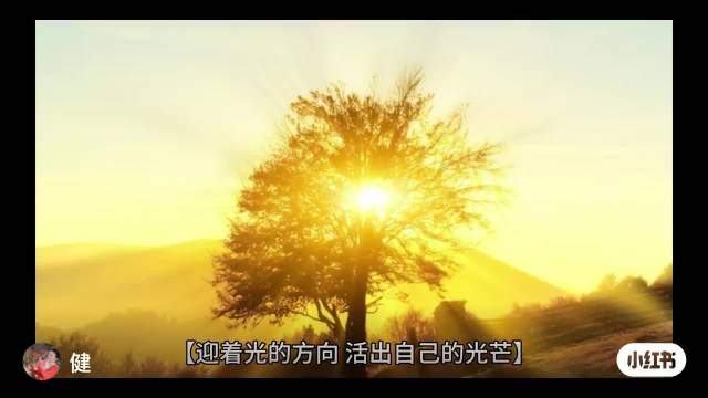 独处时刻需与自己周旋不虚度光阴