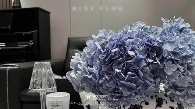 520表白文案精选，16句心动语录浪漫来袭