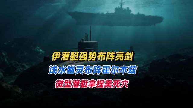 伊潜艇强势布阵亮剑，浅水幽灵布阵霍尔木兹，微型潜艇拿捏美死穴