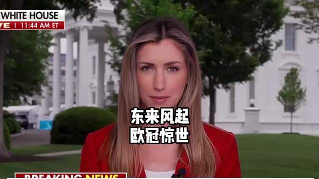 樊振东亮相欧冠引热潮，门票售罄外网热议
