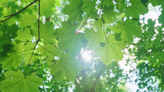 未来如盛夏大雨般扑面而来，无水印高清壁纸合集