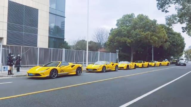 刘宇宁粉丝驾法拉利车队引内娱震动
