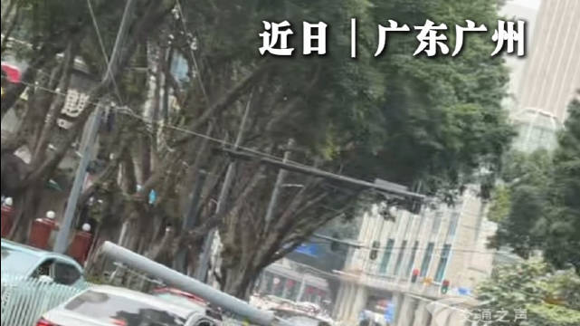 货车运输途中剐蹭到电线，致一电线杆倒伏掉落