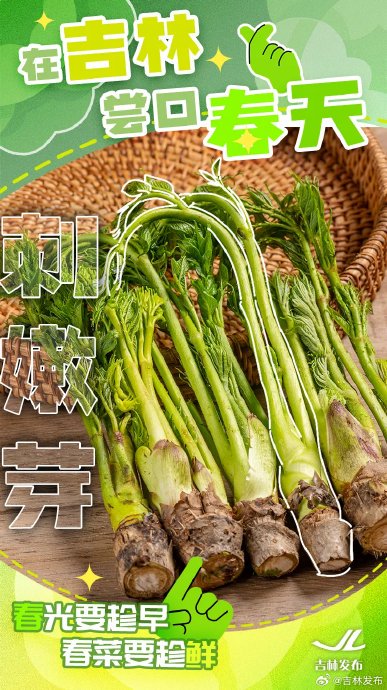 刘浩存邀约吉林：冰雪光影中探寻故乡密码与文旅新篇