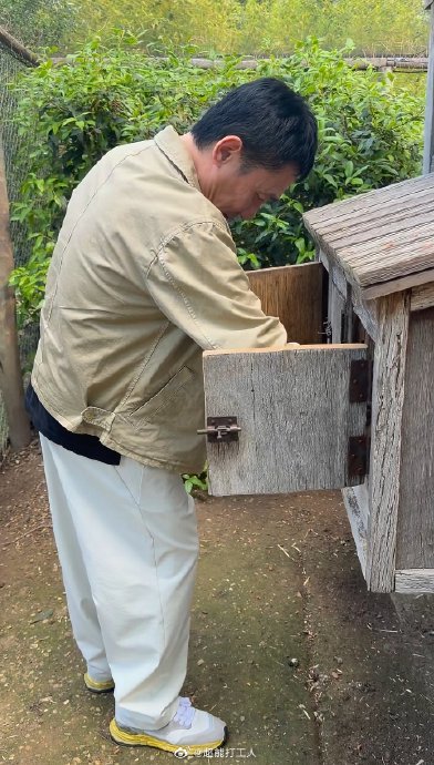 梁朝伟和刘嘉玲目前是在法国长居养老吗？