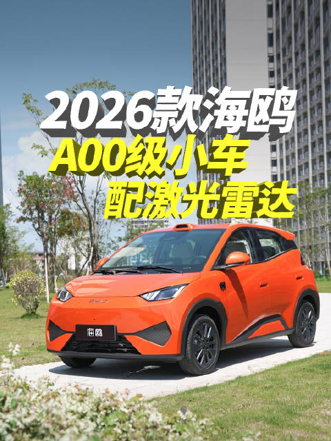 实在太卷了！A00级小车居然配激光雷达！海鸥打响智驾平权第一枪