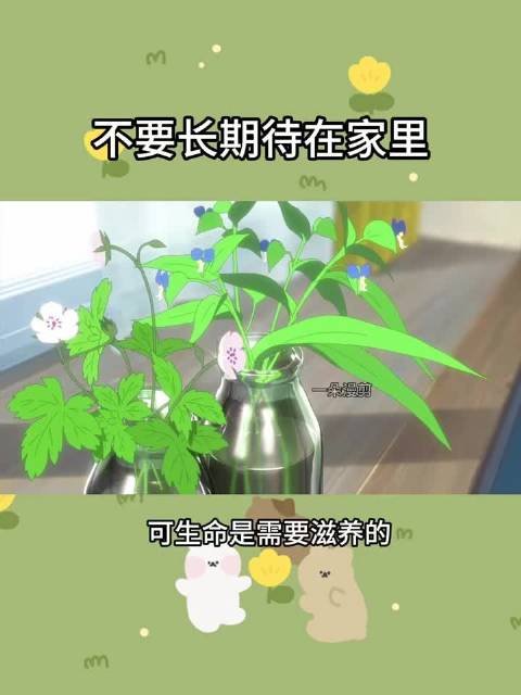 专家建议避免长期处于单一环境，多接触自然拓展社交