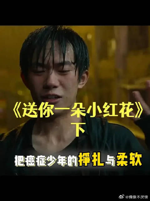 看哭无数人：奖励每一个积极生活的人一朵小红花