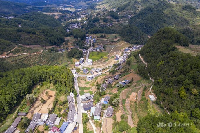 类似《浴血困牛山》这类主旋律电影如何平衡艺术价值与商业市场？