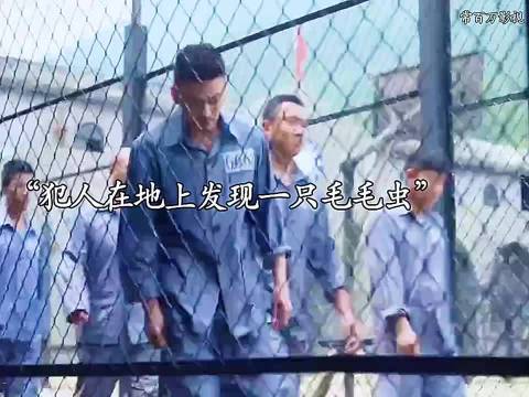 这虫子有毒吗？变成沫还能让人拉肚子