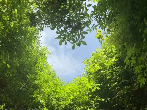 晨光中世界苏醒，早安问候温暖人心