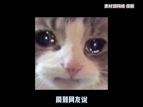 单休和双休真的不一样 成年人的世界真的狠狠共情了