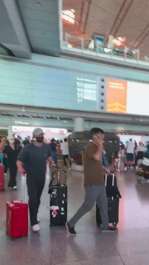 国乒男团女团抵京,马龙夫妇结束伦敦行