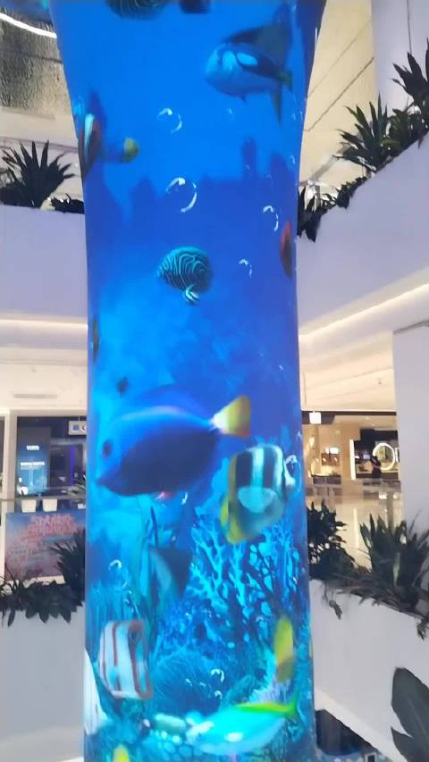 我在居然之家看海底总动员