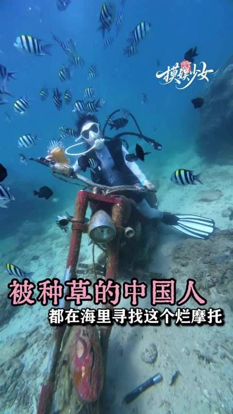 不出意外的话，马上就要开始海底排长队了
