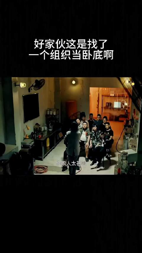 这是找了一个组织当卧底啊？