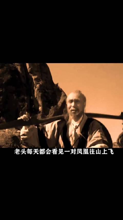 老人每天都会看见一对凤凰，往上山飞，他连忙跟了上去