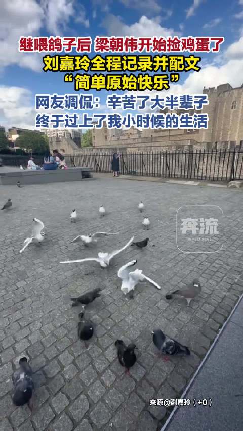 刘嘉玲记录梁朝伟捡鸡蛋，网友：他终于过上我小时候的生活