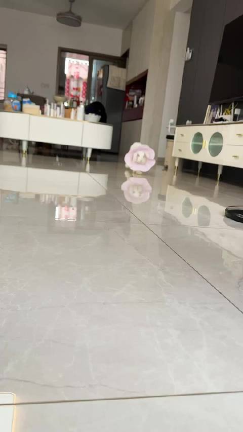 兔子杨嘟嘟手术苏醒闻草睁眼，主人含泪记录四年陪伴