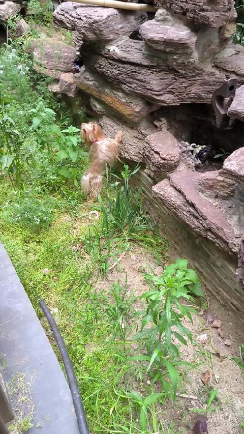 莲蓬越狱记录