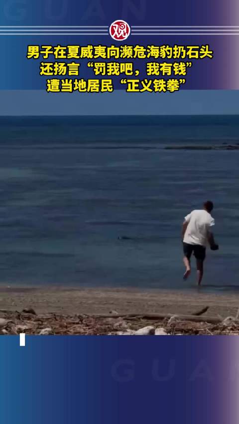 男子向濒危海豹扔石头被当地居民痛打