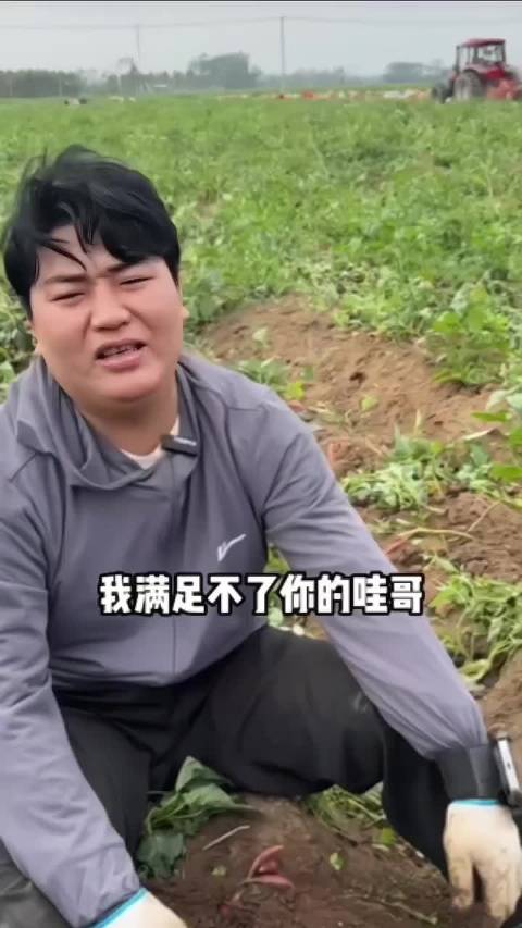 全红婵哥哥全进华直播挖番薯、卖番薯，又被很多人捣乱，全进华的心态真不错