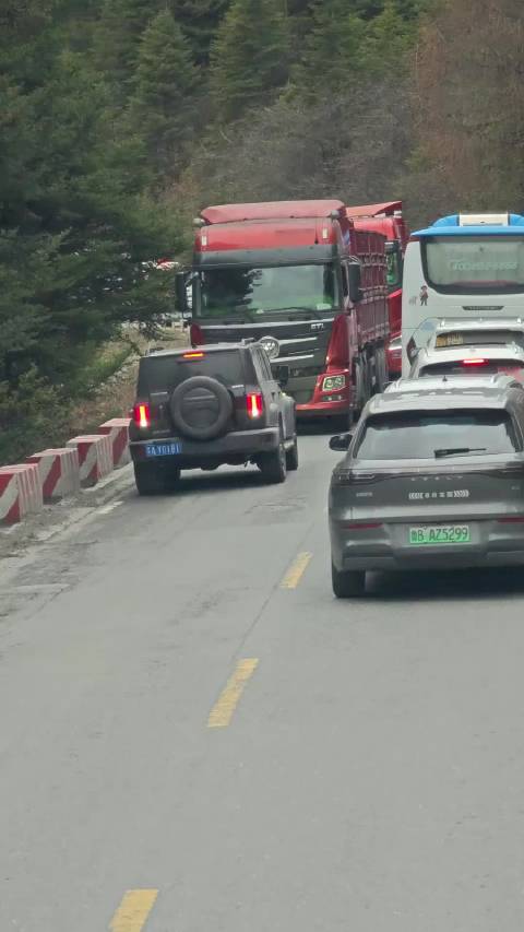 坦克车主逆行插队被逼退，网友热议行车文明