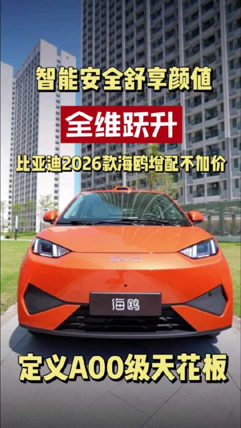 2026款海鸥搭载激光雷达，DiPilot 300辅助驾驶下放A00级市场
