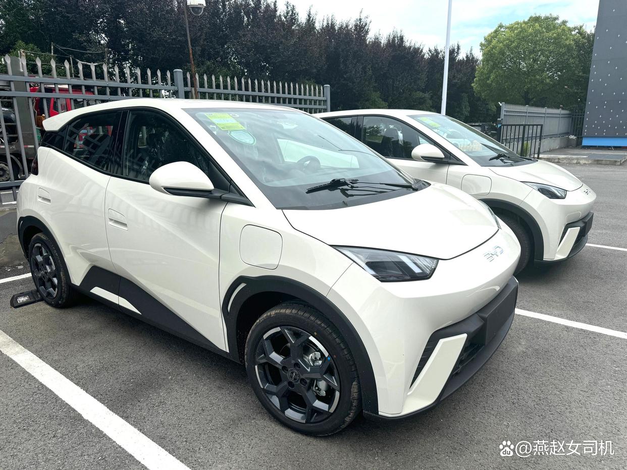 25款比亚迪海鸥实车到店,换“BYD”尾标,增座椅加热+智能上下电