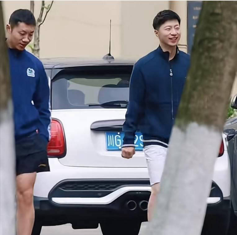 名嘴莱维称马龙许昕专程来成都陪练情义深厚 不会随国乒远征伦敦世乒赛