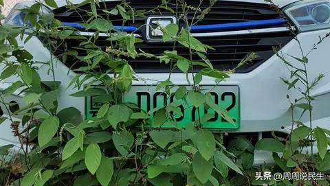 洗车时车牌数字一撕就掉!车管所回应了