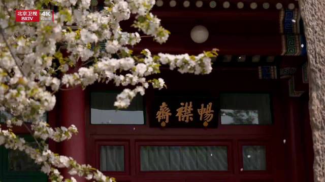 北京宋庆龄故居百年海棠绽放，5月16日亮相北京卫视