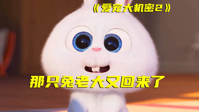 简直是萌宠版玩具总动员！虽然也是经典，但相比还是皮克斯更精良