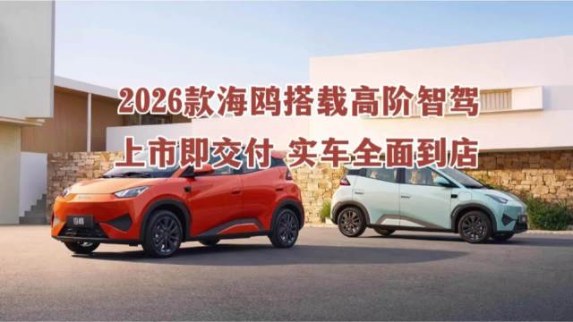 A00级智驾平权，为什么是比亚迪海鸥?