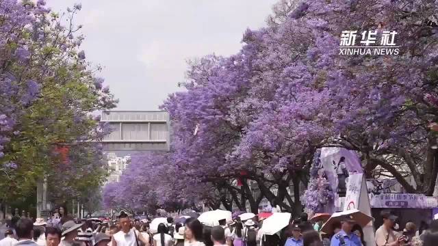 被四川的夏天治愈了