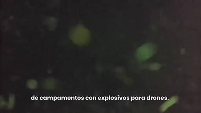 哥伦比亚安全部队击毙7名ELN成员，摧毁两营地