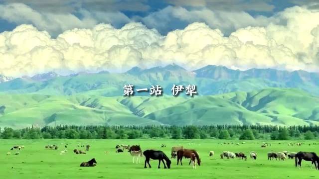 风雨之后必有彩虹，生命因坚持而勇敢