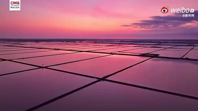 黑龙江北大荒初夏霞光映稻田，周深歌声伴美景