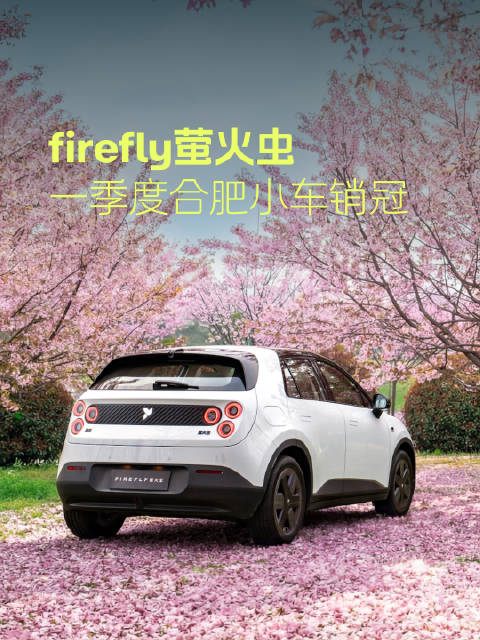 firefly萤火虫一季度蝉联合肥小车销量冠军，购车享2000元补贴
