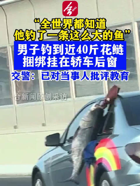 男子钓40斤大鱼挂车窗炫耀被交警教育