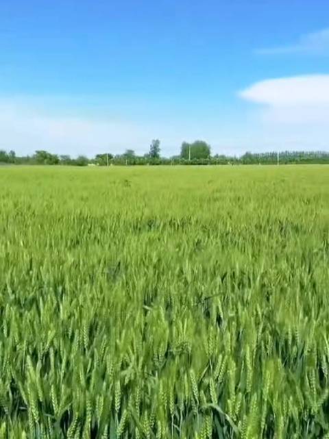 杭州翎欣艺术倡导夏日慢生活,品味日常幸福