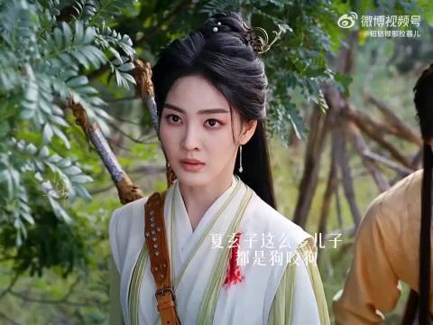 夏玄子为抓辛湄出动众子