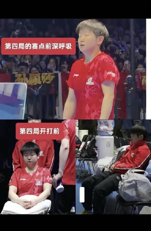 水谷隼盛赞孙颖莎从强大到伟大
