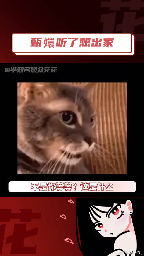 微博VC计划