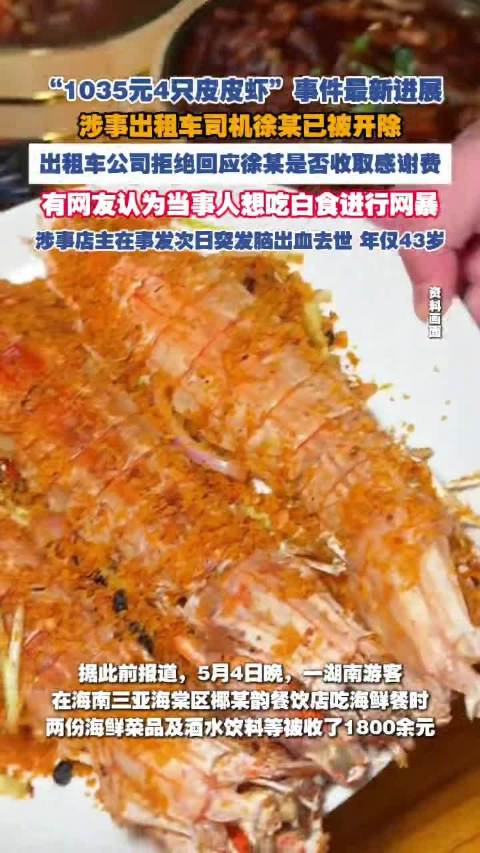 三亚皮皮虾事件最新进展：涉事出租车司机被开除