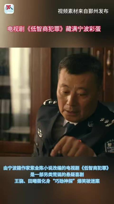 紫金陈小说改编悬疑喜剧《低智商犯罪》开播，王骁田曦薇爆笑破案