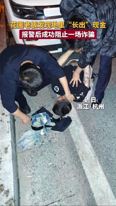 杭州一花圃老板发现地里长出4万现金