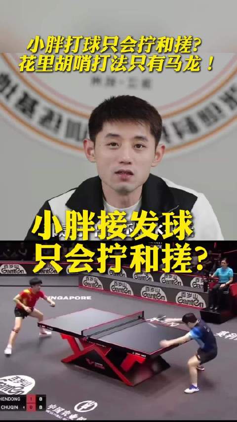 张继科:樊振东打球只会拧和搓？花里胡哨打法只有马龙！乒乓球 霸王拧